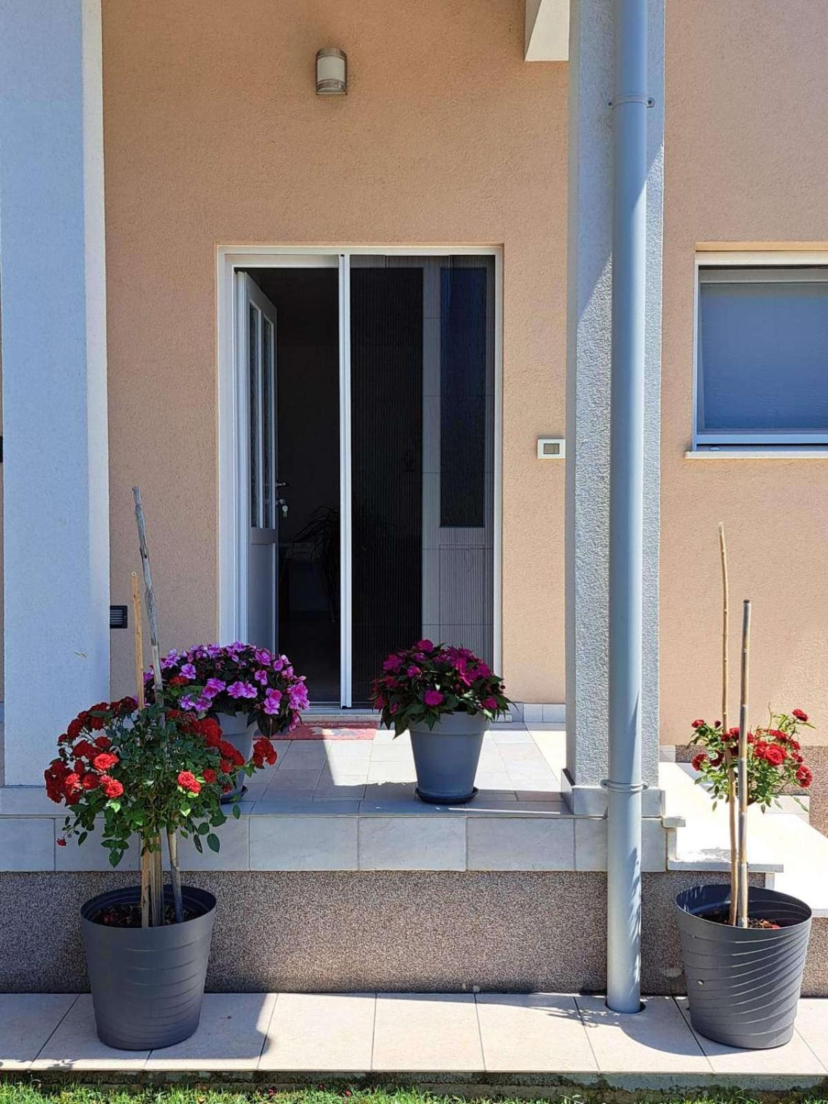 Apartmani Danica Vodnjan Exteriör bild